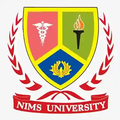 NIMS University
