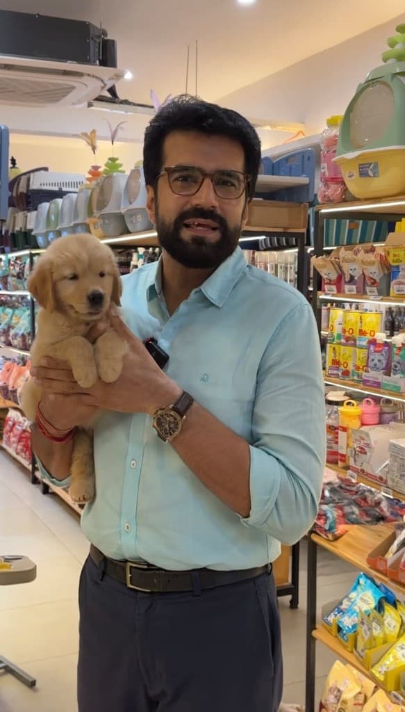 Pet store UGC ad